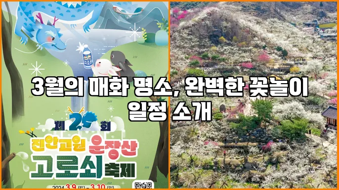 3월의 매화 명소, 완벽한 꽃놀이 일정 소개