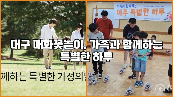 대구 매화꽃놀이, 가족과 함께하는 특별한 하루