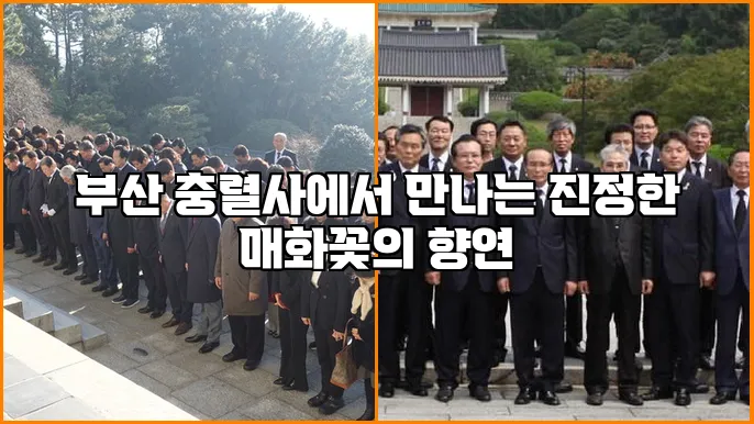부산 충렬사에서 만나는 진정한 매화꽃의 향연