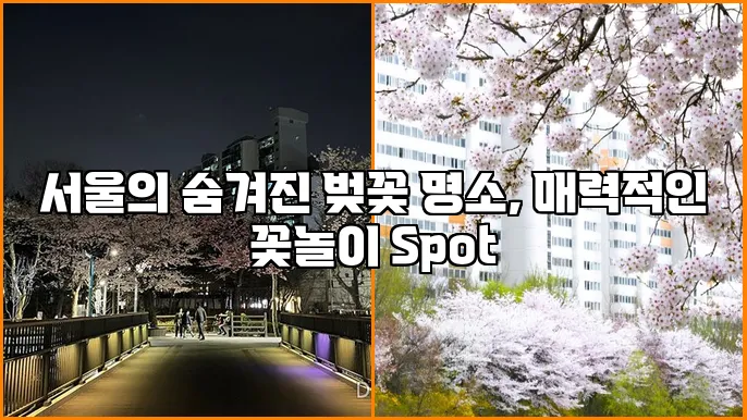 서울의 숨겨진 벚꽃 명소, 매력적인 꽃놀이 Spot