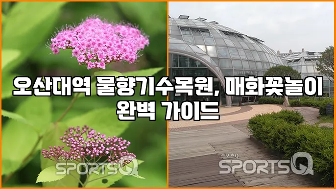 오산대역 물향기수목원, 매화꽃놀이 완벽 가이드