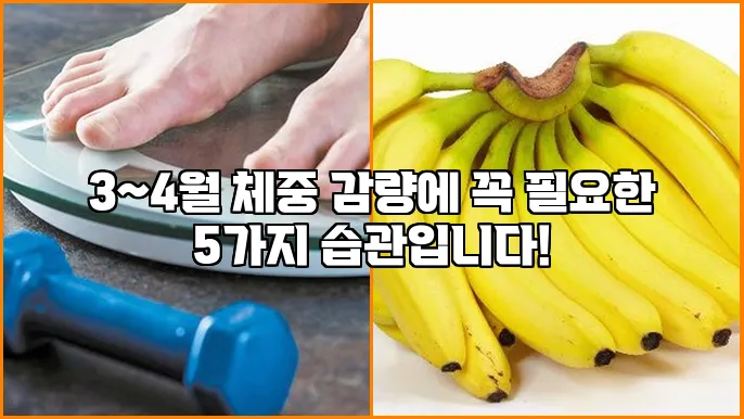 3~4월 체중 감량에 꼭 필요한 5가지 습관입니다!