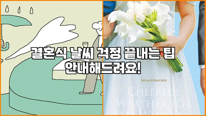 결혼식 날씨 걱정 끝내는 팁 안내해드려요!