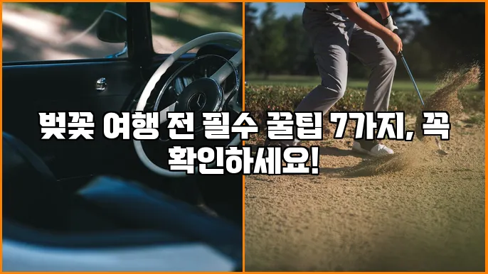 벚꽃 여행 전 필수 꿀팁 7가지, 꼭 확인하세요!