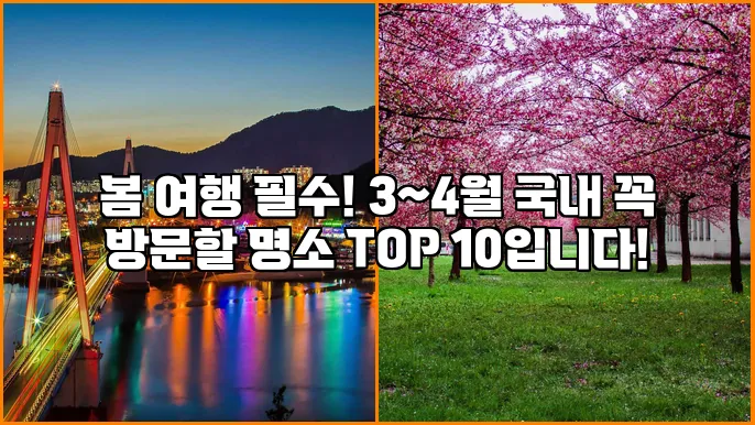 봄 여행 필수! 3~4월 국내 꼭 방문할 명소 TOP 10입니다!