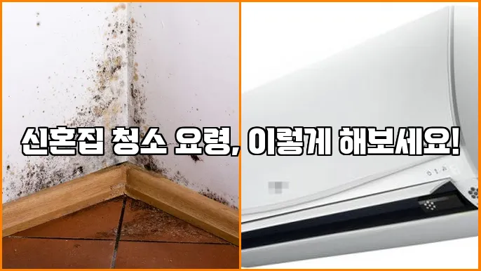 신혼집 청소 요령, 이렇게 해보세요!