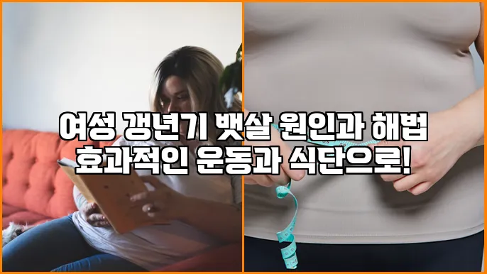 여성 갱년기 뱃살 원인과 해법 효과적인 운동과 식단으로!