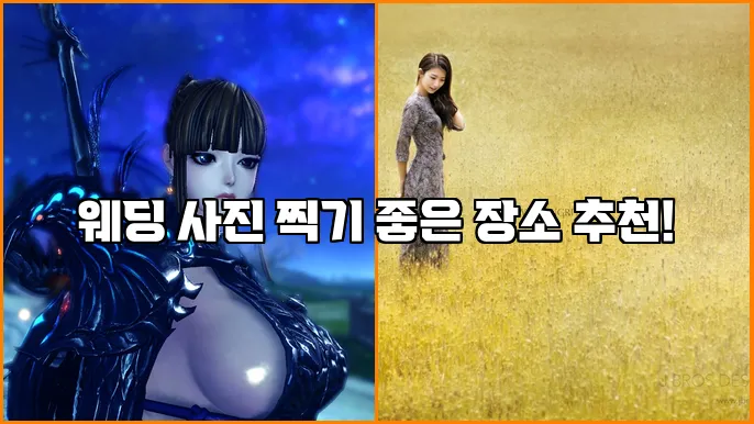 웨딩 사진 찍기 좋은 장소 추천!