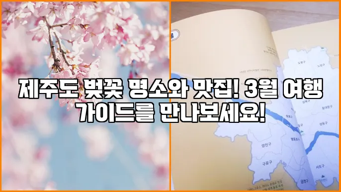 제주도 벚꽃 명소와 맛집! 3월 여행 가이드를 만나보세요!