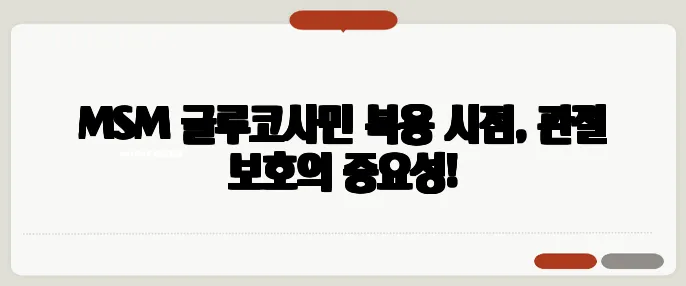 MSM 글루코사민 복용 시점, 관절 보호의 중요성!