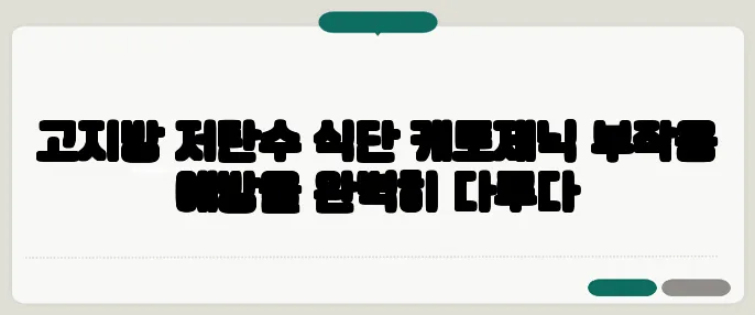 고지방 저탄수 식단 케토제닉 부작용 예방을 완벽히 다루다
