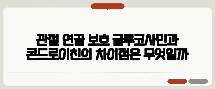관절 연골 보호 글루코사민과 콘드로이친의 차이점은 무엇일까