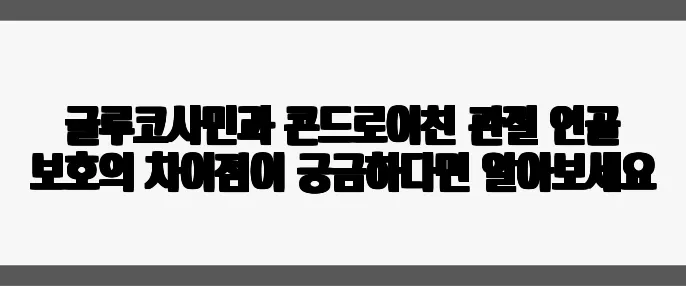 글루코사민과 콘드로이친 관절 연골 보호의 차이점이 궁금하다면 알아보세요