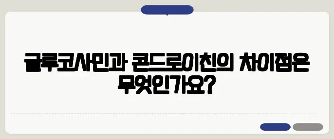 글루코사민과 콘드로이친의 차이점은 무엇인가요?