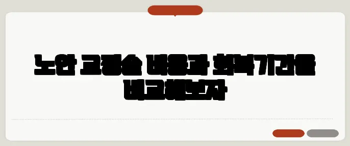 노안 교정술 비용과 회복기간을 비교해보자