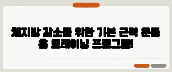 체지방 감소를 위한 기본 근력 운동 홈 트레이닝 프로그램!