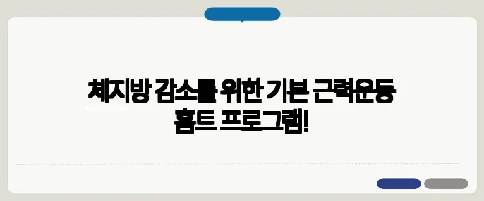 체지방 감소를 위한 기본 근력운동 홈트 프로그램!