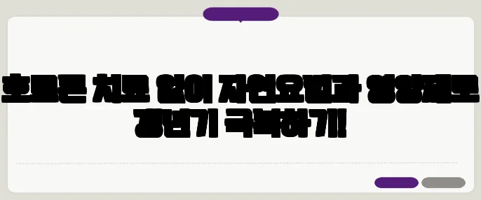 호르몬 치료 없이 자연요법과 영양제로 갱년기 극복하기!