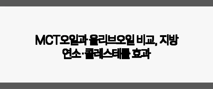 MCT오일과 올리브오일 비교, 지방 연소·콜레스테롤 효과