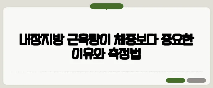 내장지방·근육량이 체중보다 중요한 이유와 측정법