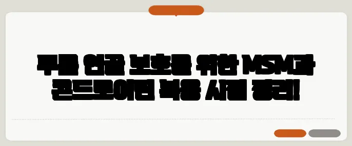무릎 연골 보호를 위한 MSM과 콘드로이틴 복용 시점 정리!