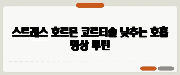 스트레스 호르몬 코르티솔 낮추는 호흡 명상 루틴