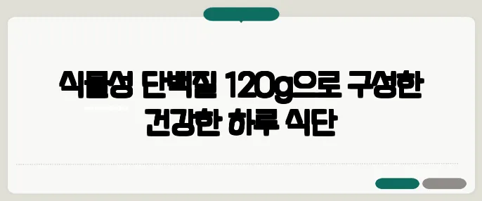 식물성 단백질 120g으로 구성한 건강한 하루 식단