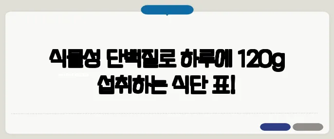 식물성 단백질로 하루에 120g 섭취하는 식단 표!