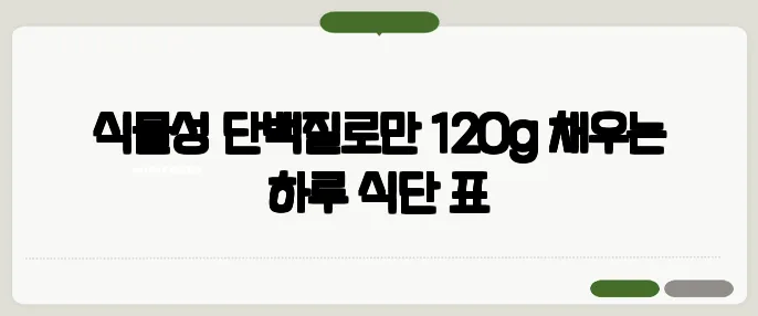 식물성 단백질로만 120g 채우는 하루 식단 표