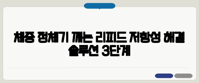 체중 정체기 깨는 리피드 저항성 해결 솔루션 3단계