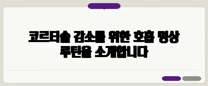 코르티솔 감소를 위한 호흡 명상 루틴을 소개합니다