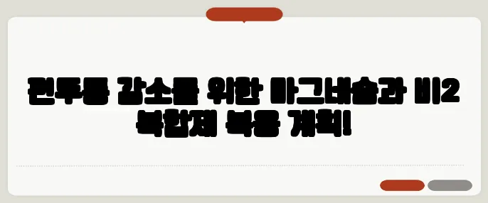 편두통 감소를 위한 마그네슘과 비2 복합제 복용 계획!