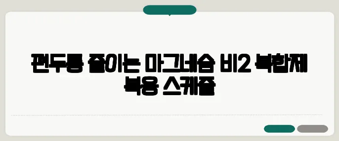 편두통 줄이는 마그네슘·비2 복합제 복용 스케줄