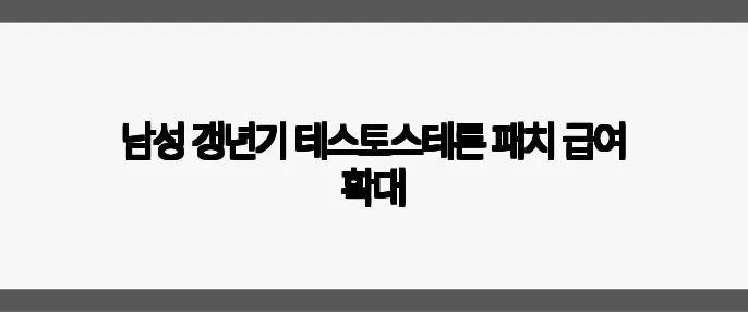 남성 갱년기 테스토스테론 패치 급여 확대