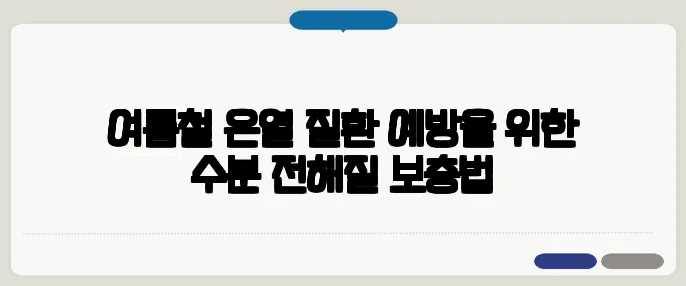 여름철 온열 질환 예방을 위한 수분·전해질 보충법