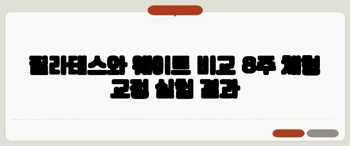 필라테스와 웨이트 비교 8주 체형 교정 실험 결과