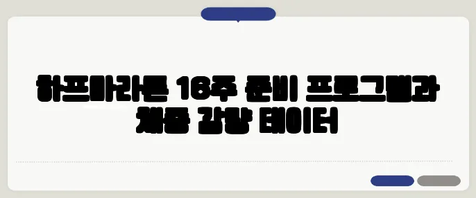 하프마라톤 16주 준비 프로그램과 체중 감량 데이터