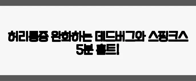 허리통증 완화하는 데드버그와 스핑크스 5분 홈트!