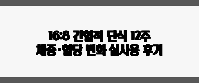 16:8 간헐적 단식 12주 체중·혈당 변화 실사용 후기