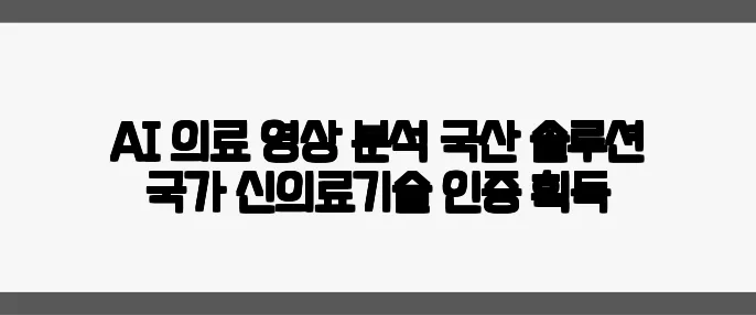 AI 의료 영상 분석 국산 솔루션 국가 신의료기술 인증 획득