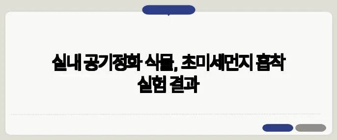 실내 공기정화 식물, 초미세먼지 흡착 실험 결과