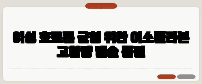 여성 호르몬 균형 위한 이소플라본 고함량 캡슐 품절