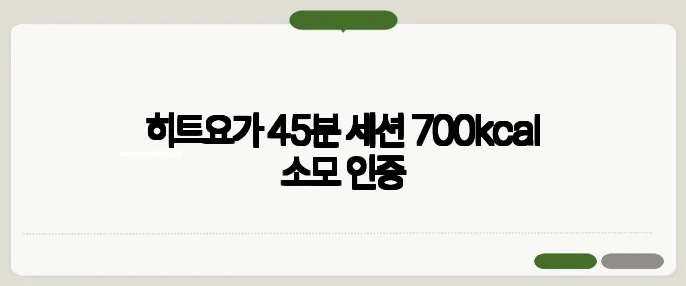 히트요가 45분 세션 700kcal 소모 인증