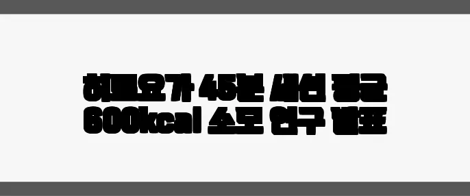 히트요가 45분 세션 평균 600kcal 소모 연구 발표