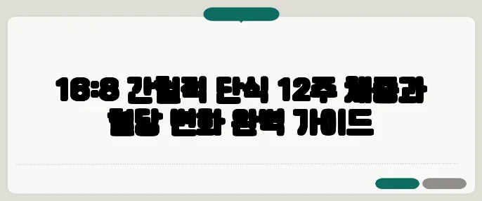 16:8 간헐적 단식 12주 체중과 혈당 변화 완벽 가이드