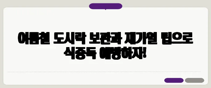 여름철 도시락 보관과 재가열 팁으로 식중독 예방하자!